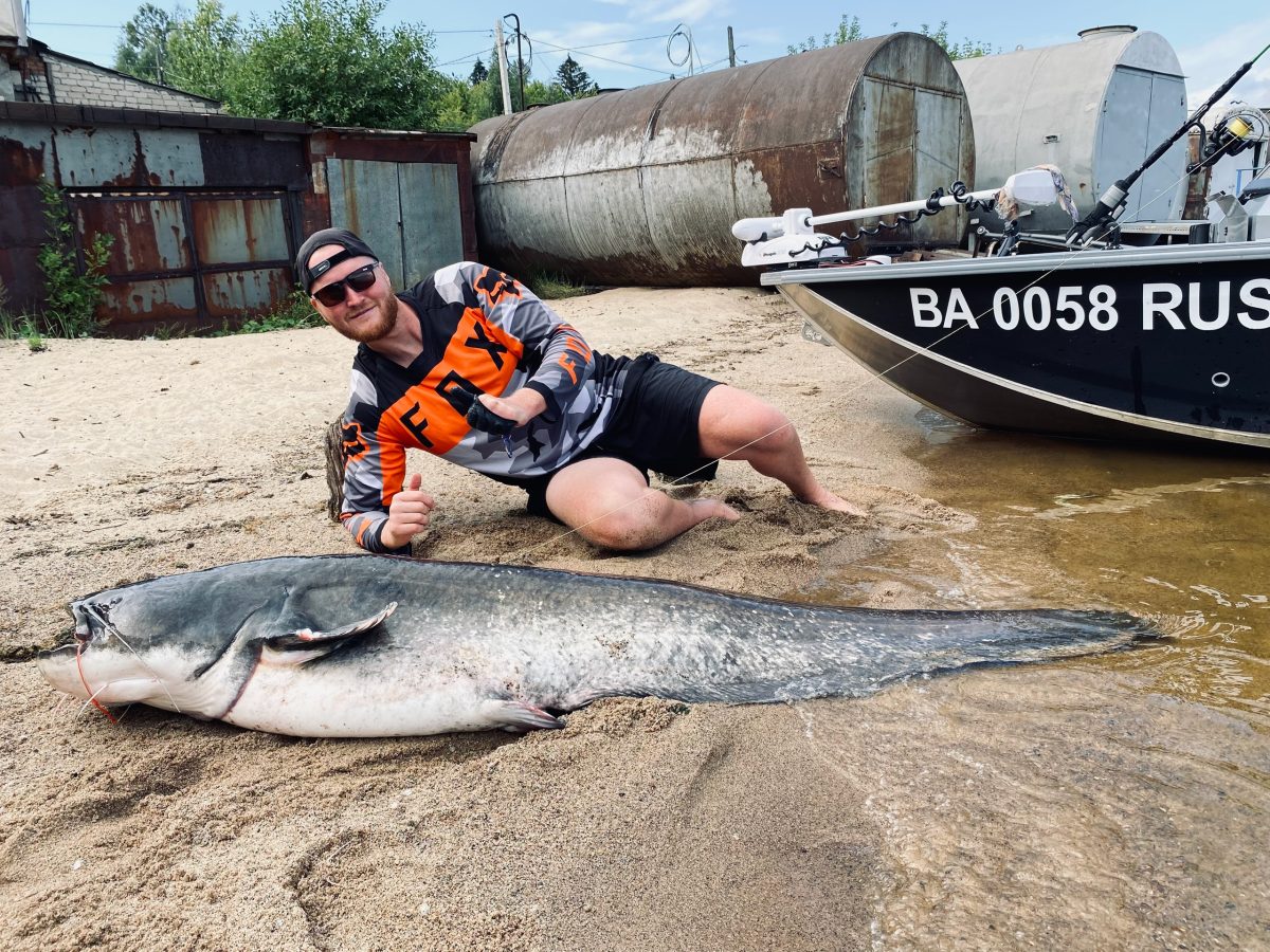 Нижегородский рыбак выловил двухметрового сома