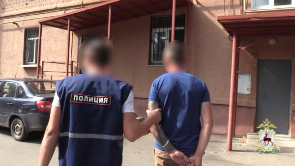 Нижегородца задержали после отрицания Холокоста в соцсетях