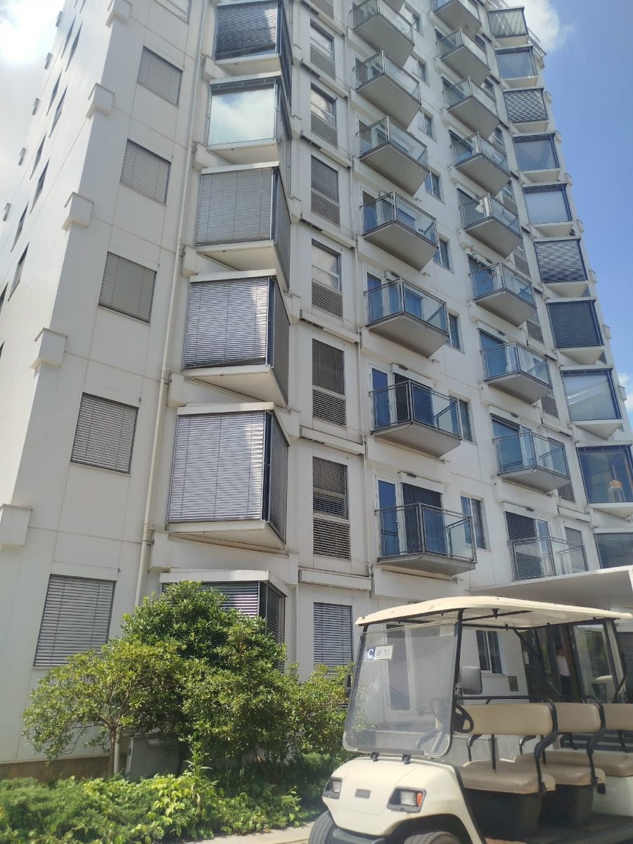 Лариса Авдеева