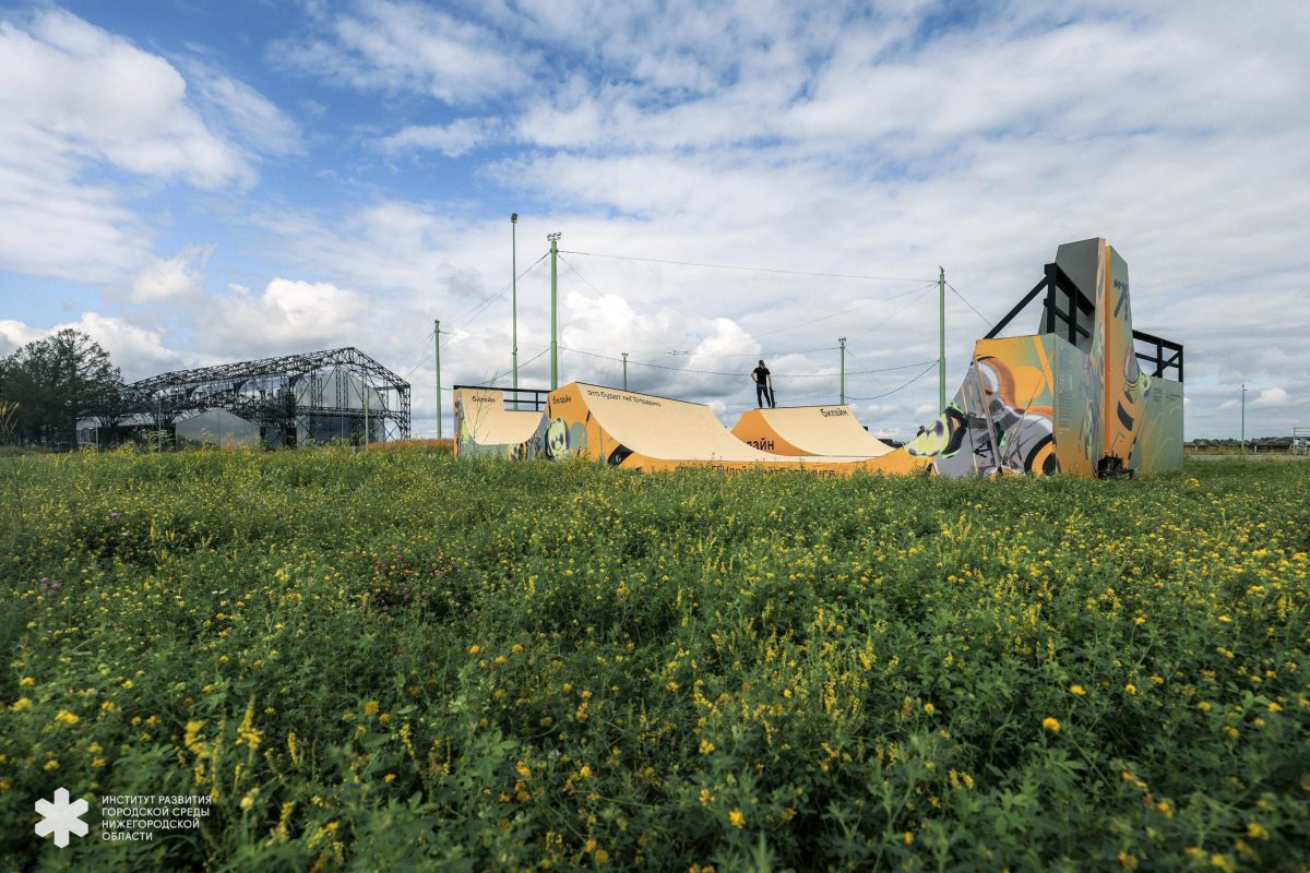 Скейт-парк и падел-корт оборудовали на Стрелке