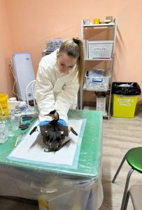 предоставлено Ольгой Немцовой