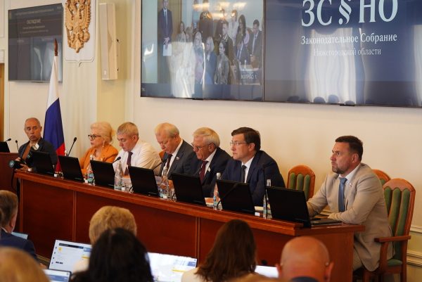 Глеб Никитин представил проекты развития социальной сферы региона