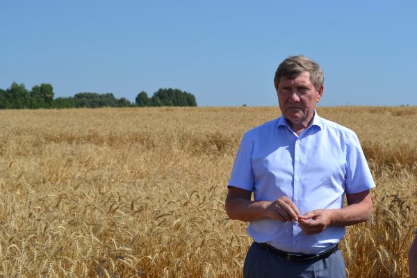 Николай Денисов оценил состояние посевов озимых и яровых на севере области