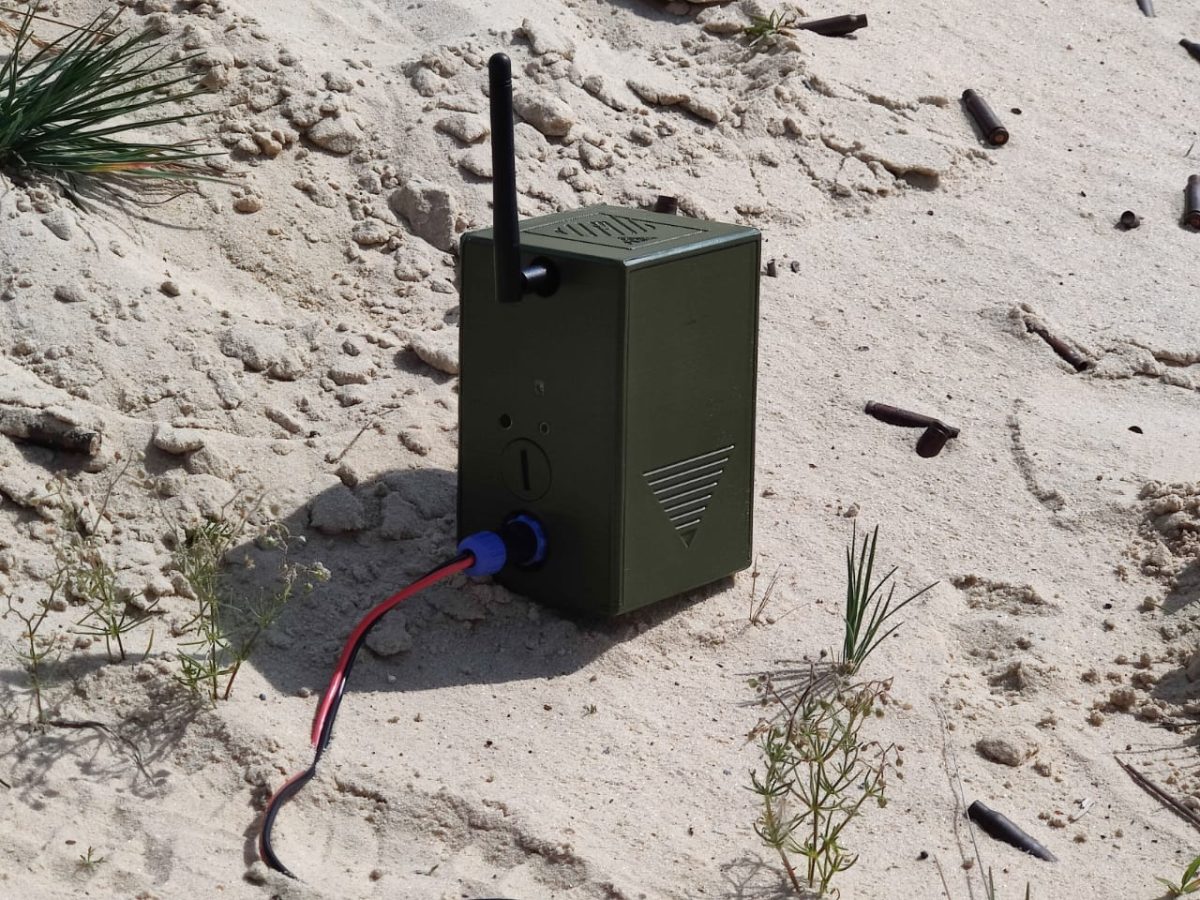 В Тоншаевском округе выявлен факт незаконной добычи лосей