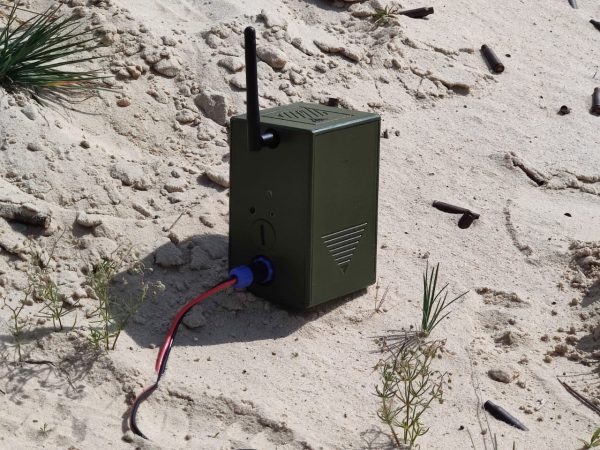 В Тоншаевском округе выявлен факт незаконной добычи лосей