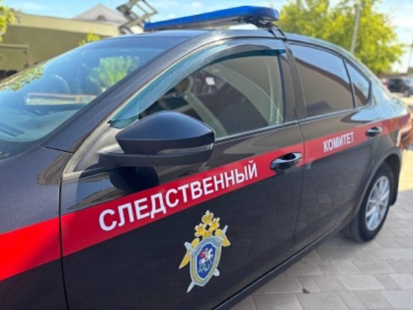 В Дзержинске расследуют жестокое убийство женщины в лесополосе