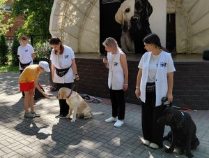 Умеют себя вести даже в театре: нижегородцам показали мастер-класс с участием собак-поводырей