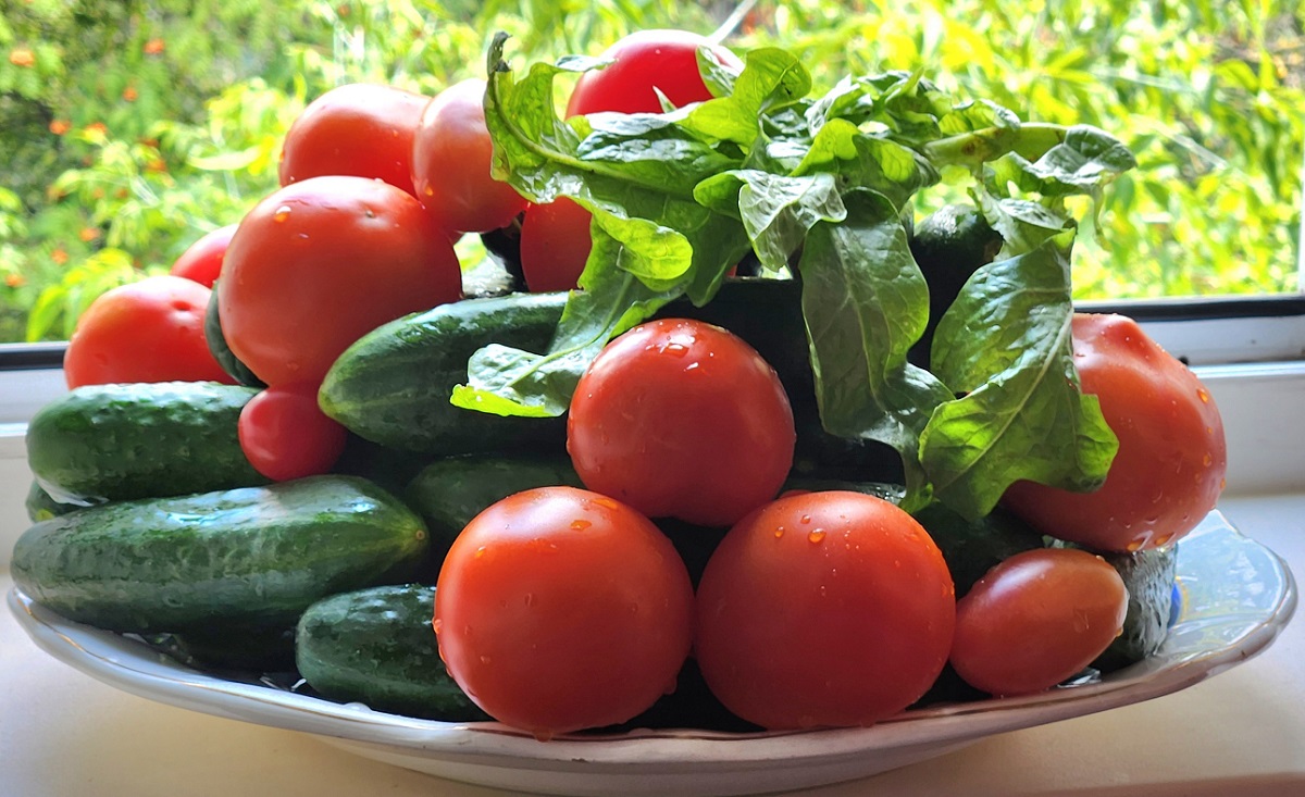 Нынешний урожай огородников порадовал