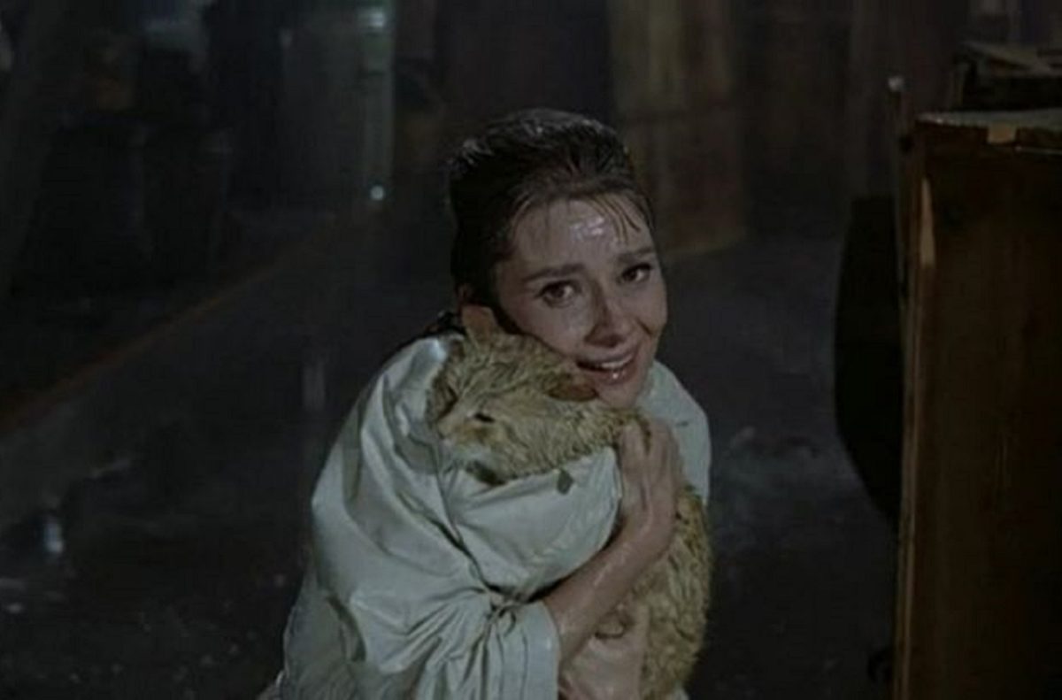 Всемирный день кошек отмечается 8 августа