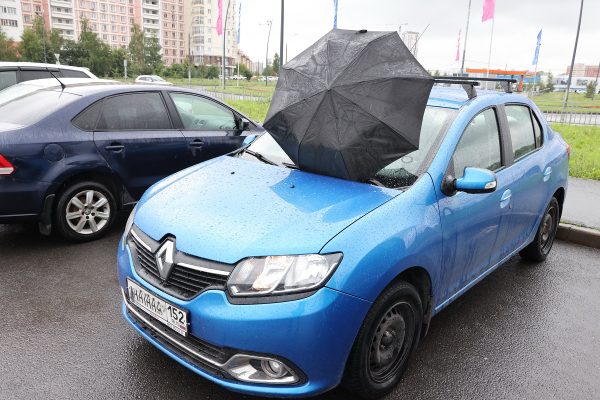 Психолог Татьяна Трубицева объяснила, почему нижегородцы дают имена автомобилям