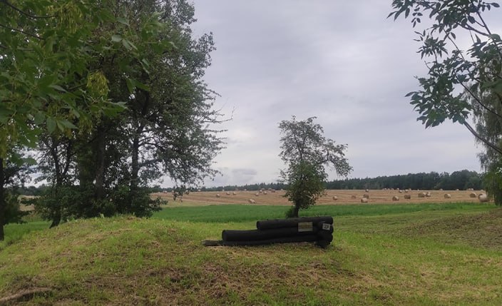 Ольга Паненкова