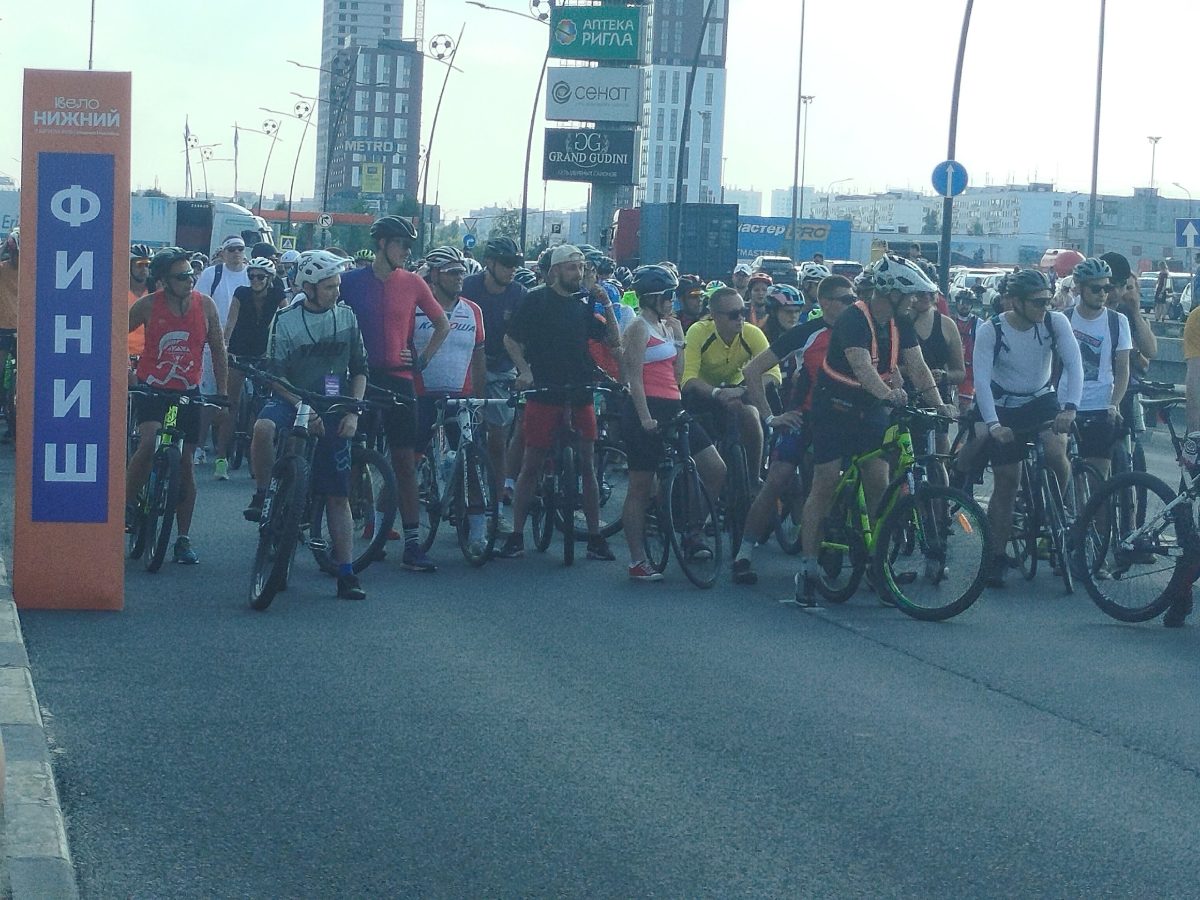 Елена Власова