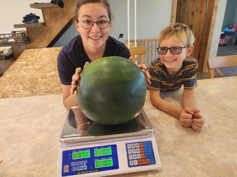 Переехавшие в Нижегородскую область канадцы вырастили в саду гигантский арбуз