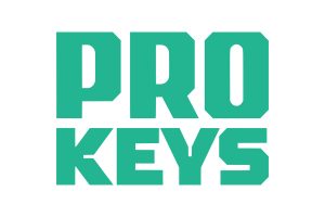 Ключи: какие бывают виды, назначение и современные решения