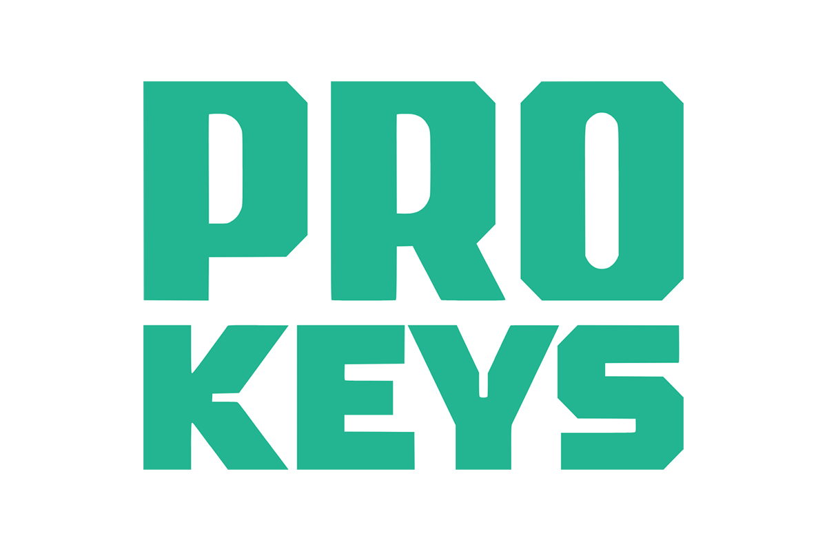 Ключи: какие бывают виды, назначение и современные решения