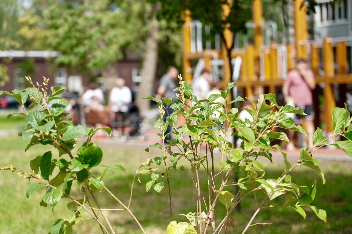 ТГ-канал главы Нижнего Новгорода