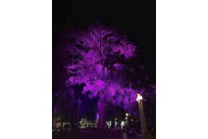 Пресс-служба администрации Нижнего Новгорода