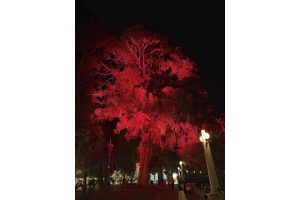 Пресс-служба администрации Нижнего Новгорода