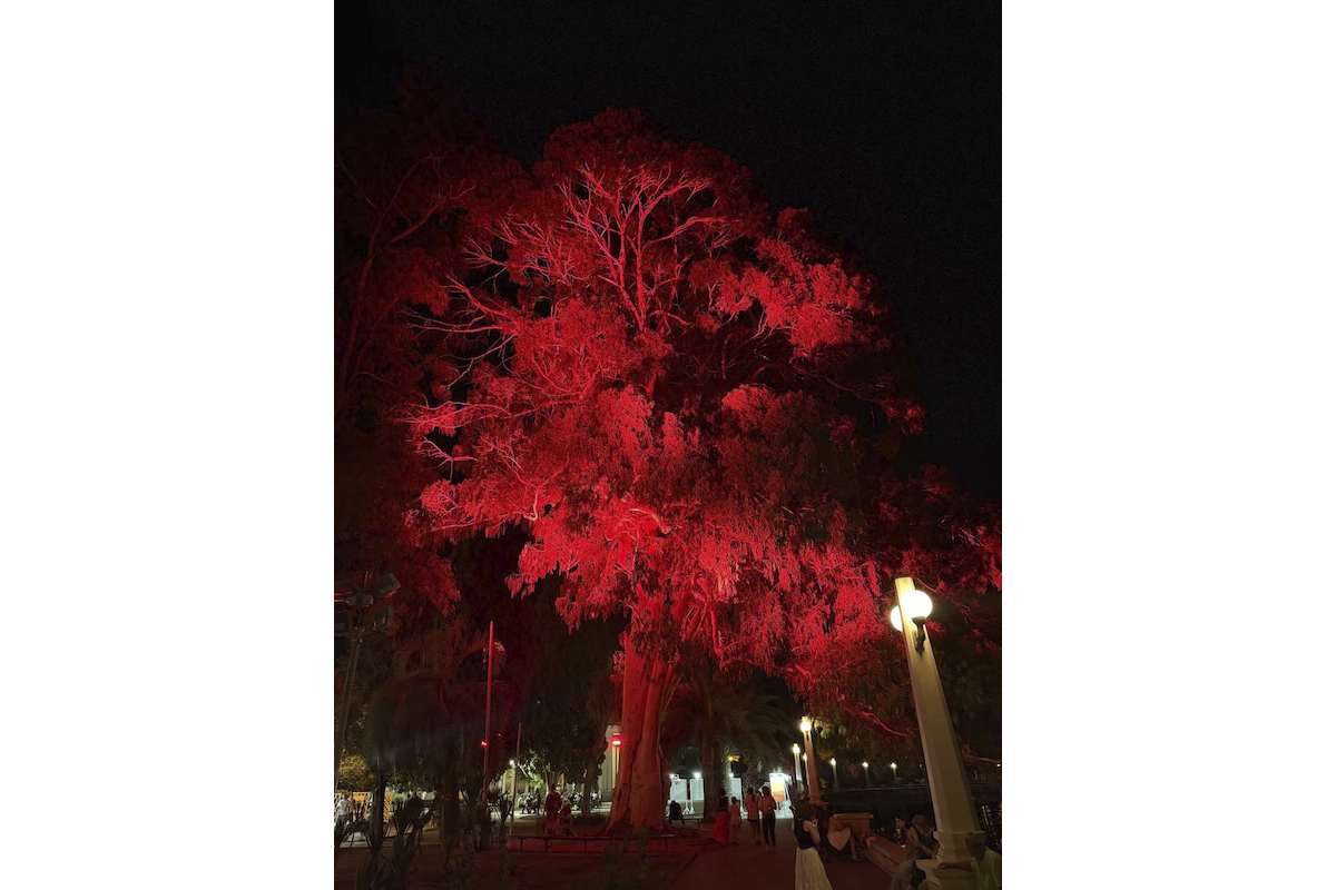 Пресс-служба администрации Нижнего Новгорода