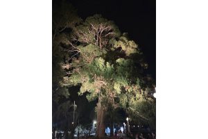 Пресс-служба администрации Нижнего Новгорода