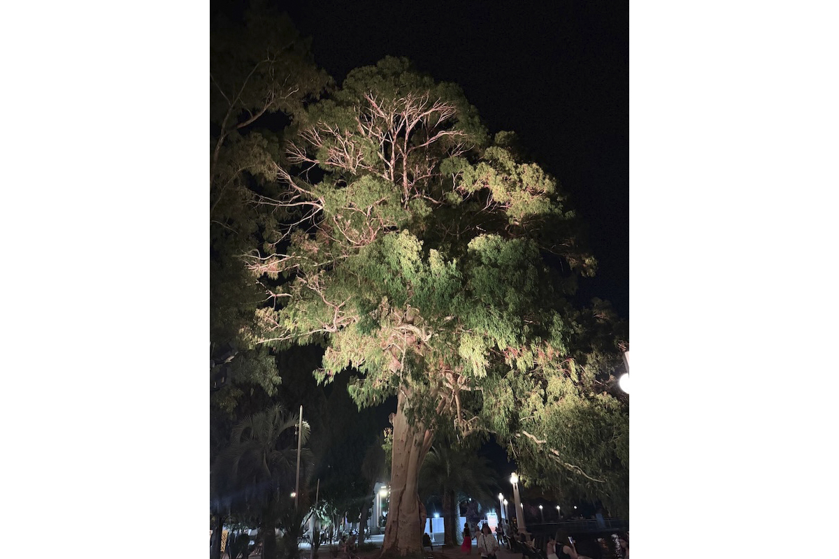 Пресс-служба администрации Нижнего Новгорода