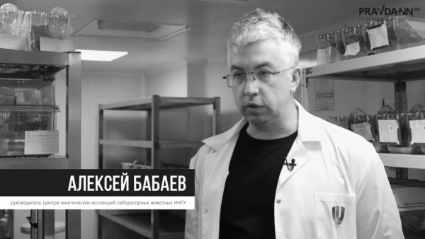 Скончался ученый ННГУ Алексей Бабаев