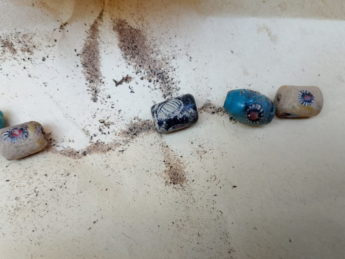 Старинные украшения и фрагменты одежды нашли в лесу в Краснобаковском районе