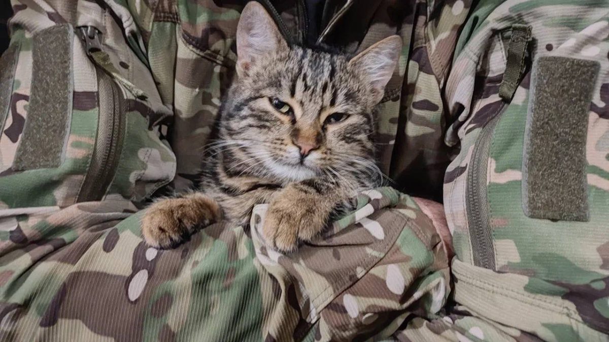 пресс-служба Заксобрания Нижегородской области