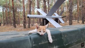 пресс-служба Заксобрания Нижегородской области