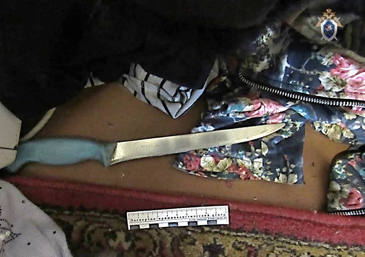 В Городце мужчина нанёс женщине более 60 ударов ножом и другими предметами