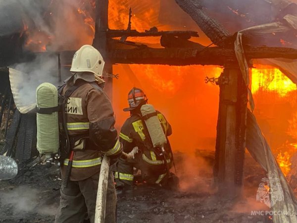 Шесть крупных пожаров потушили в Нижегородской области за сутки