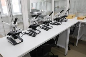 ННГУ изучит неизвестный ген, связанный с аутизмом и умственной отсталостью