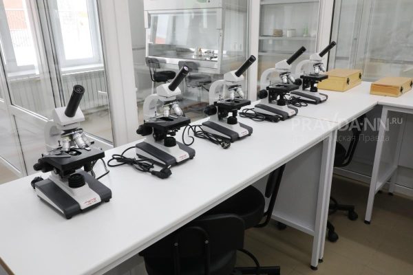 ННГУ изучит неизвестный ген, связанный с аутизмом и умственной отсталостью