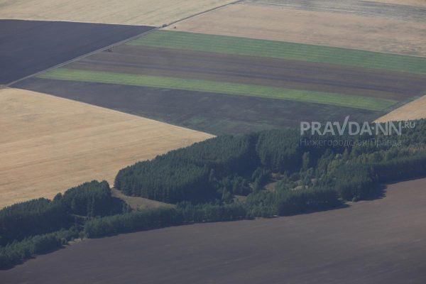 Более 1 млн га земли в Нижегородской области засеяли под урожай 2025 года