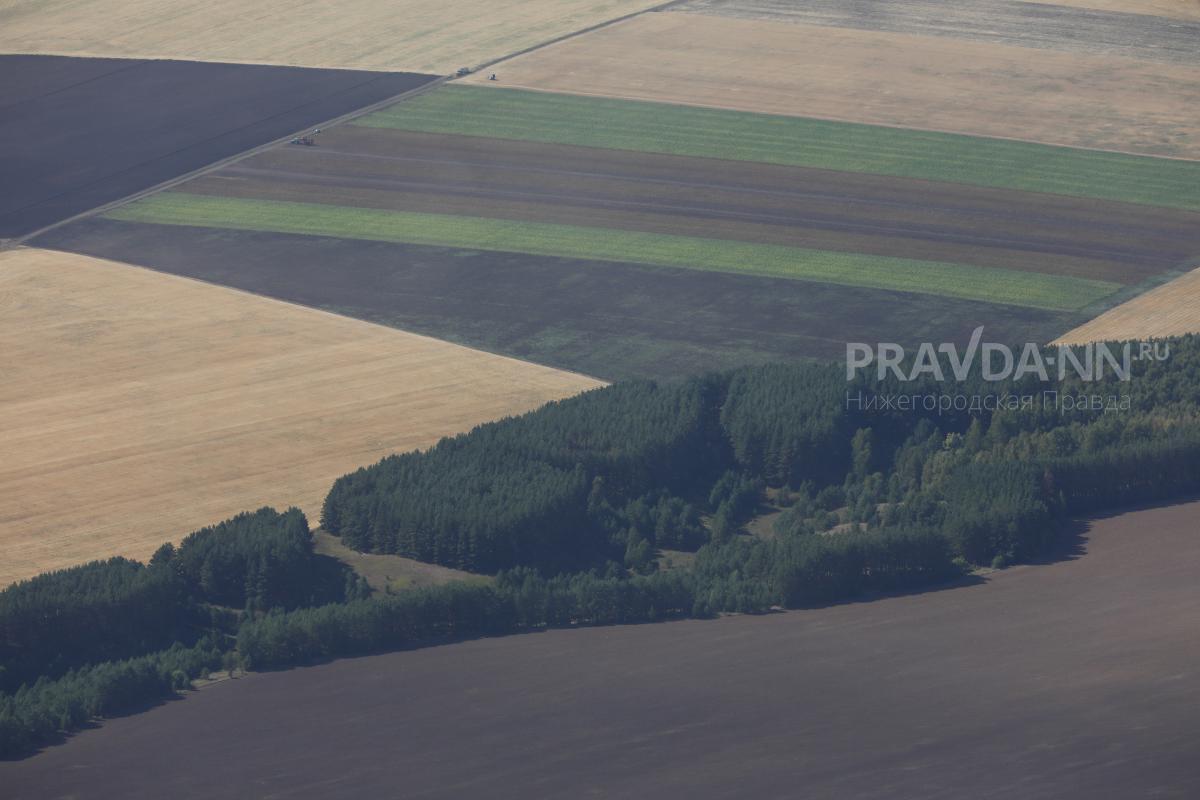 Более 1 млн га земли в Нижегородской области засеяли под урожай 2025 года