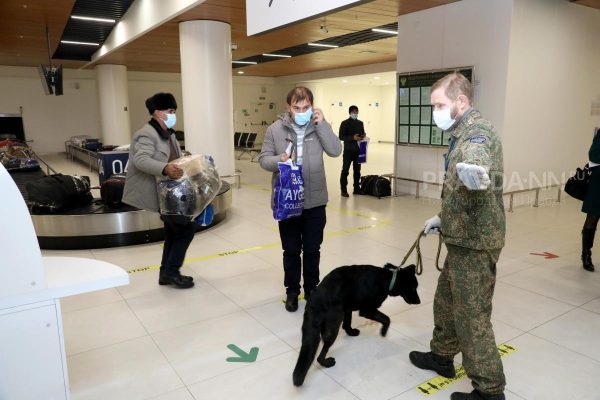 Почти 5 тонн наркотиков смогли выявить таможенные кинологи с собаками в ПФО