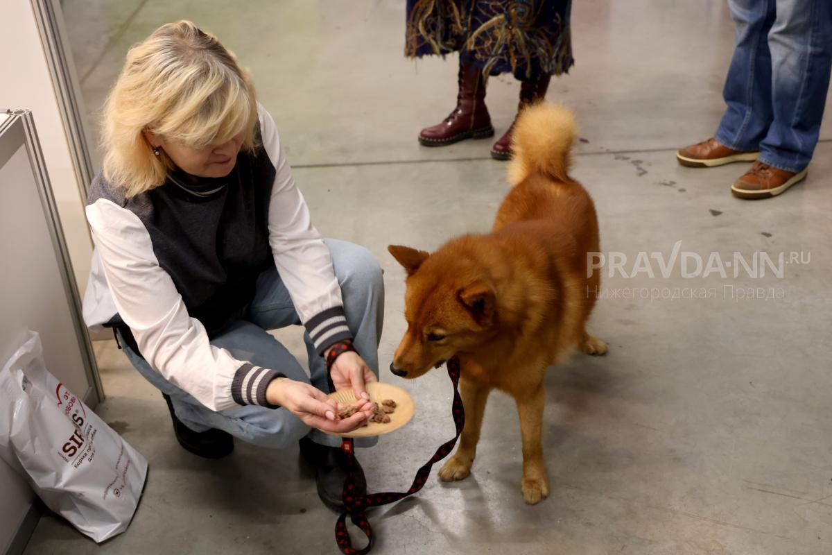 Фото: Александр Воложанин