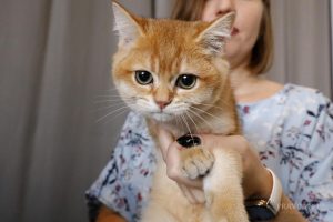 Приметы на 9 февраля: что можно и чего нельзя делать в этот&nbsp;день