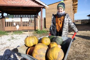«Лимпопо» объявил традиционный конкурс по сбору осеннего урожая