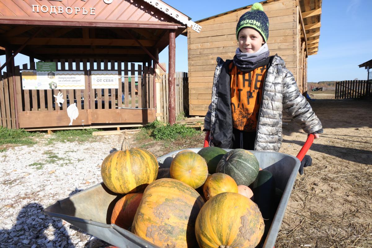 «Лимпопо» объявил традиционный конкурс по сбору осеннего урожая