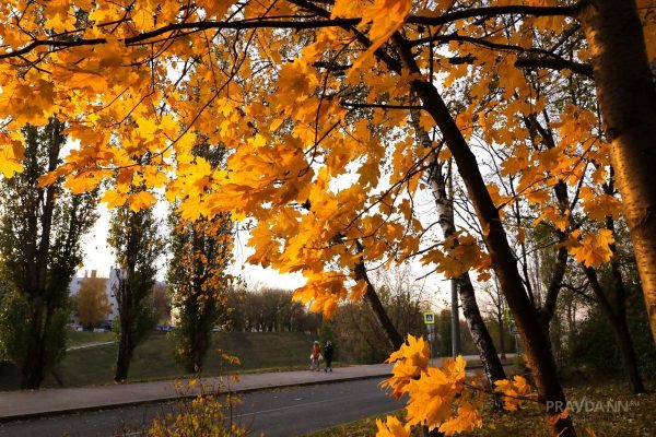 В отпуск осенью: где отдохнуть в золотую пору в России и за границей