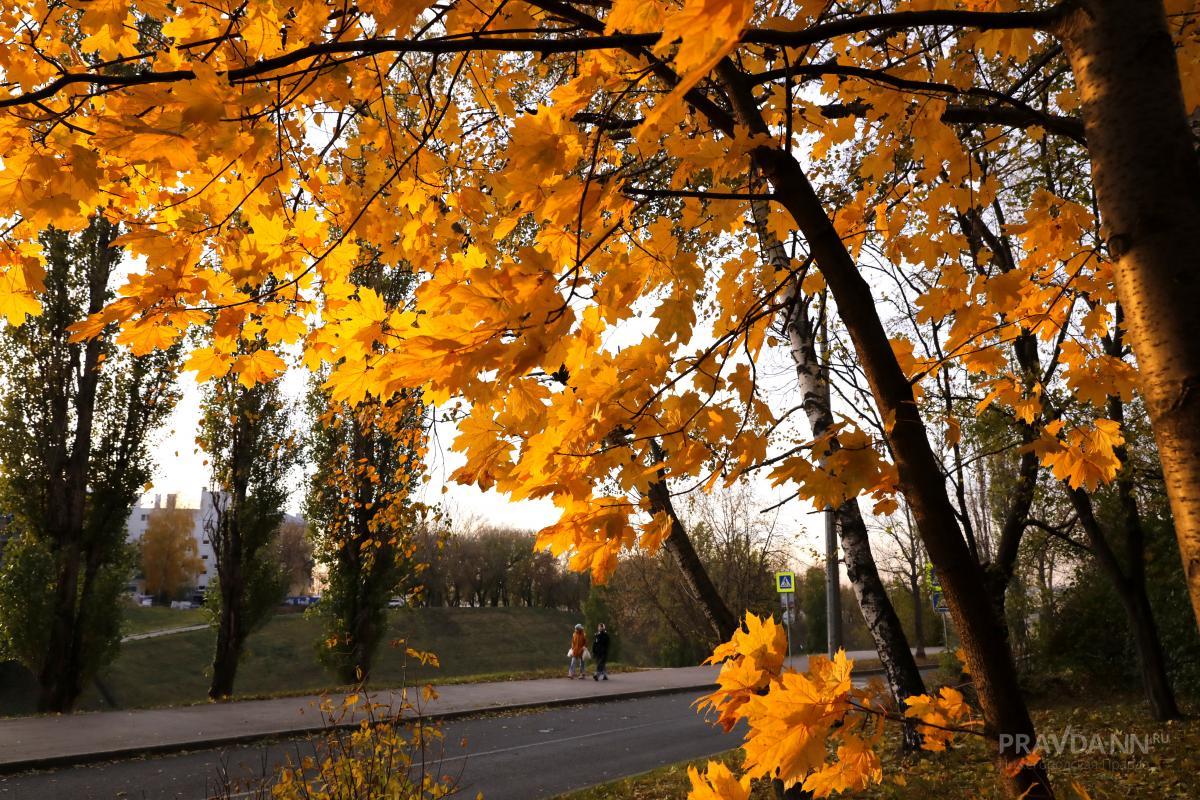 Нижегородцам рассказали, где провести отпуск осенью