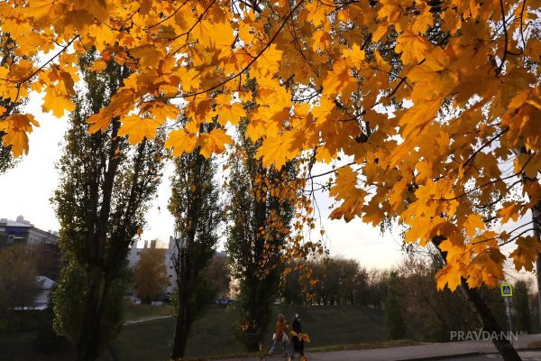 Гидрометцентр опубликовал прогноз погоды на сентябрь для Нижегородской области