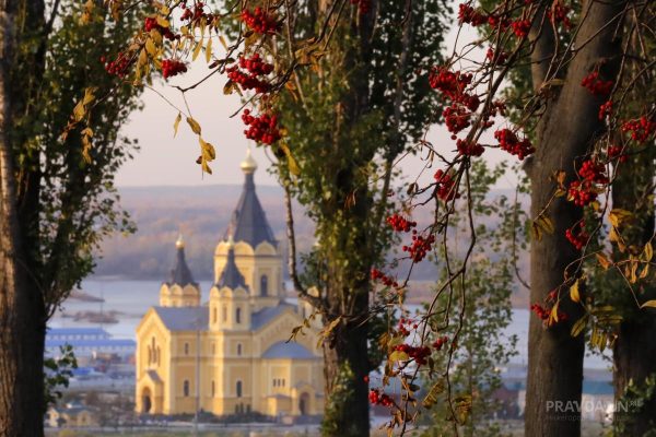 Молебен на начало нового учебного года пройдет в Нижнем Новгороде