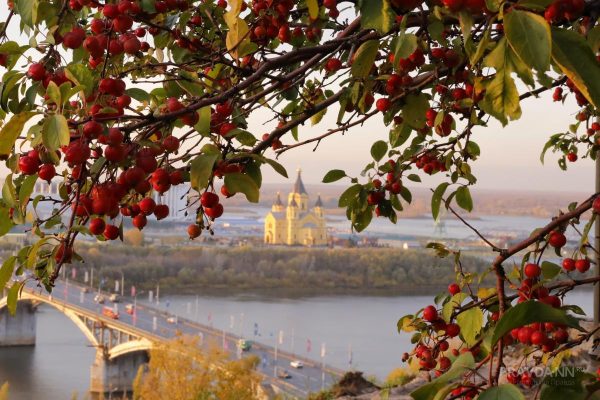 Психотерапевт Крашкина рассказала, какие психологические преимущества дает осень