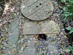 предоставлено читателем