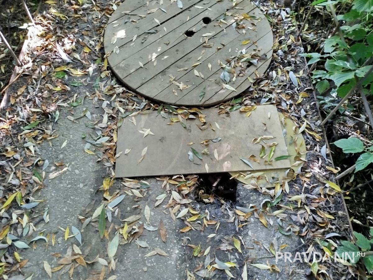 предоставлено читателем