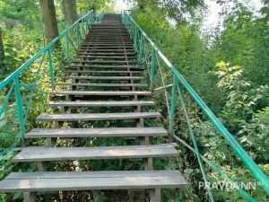 предоставлено читателем