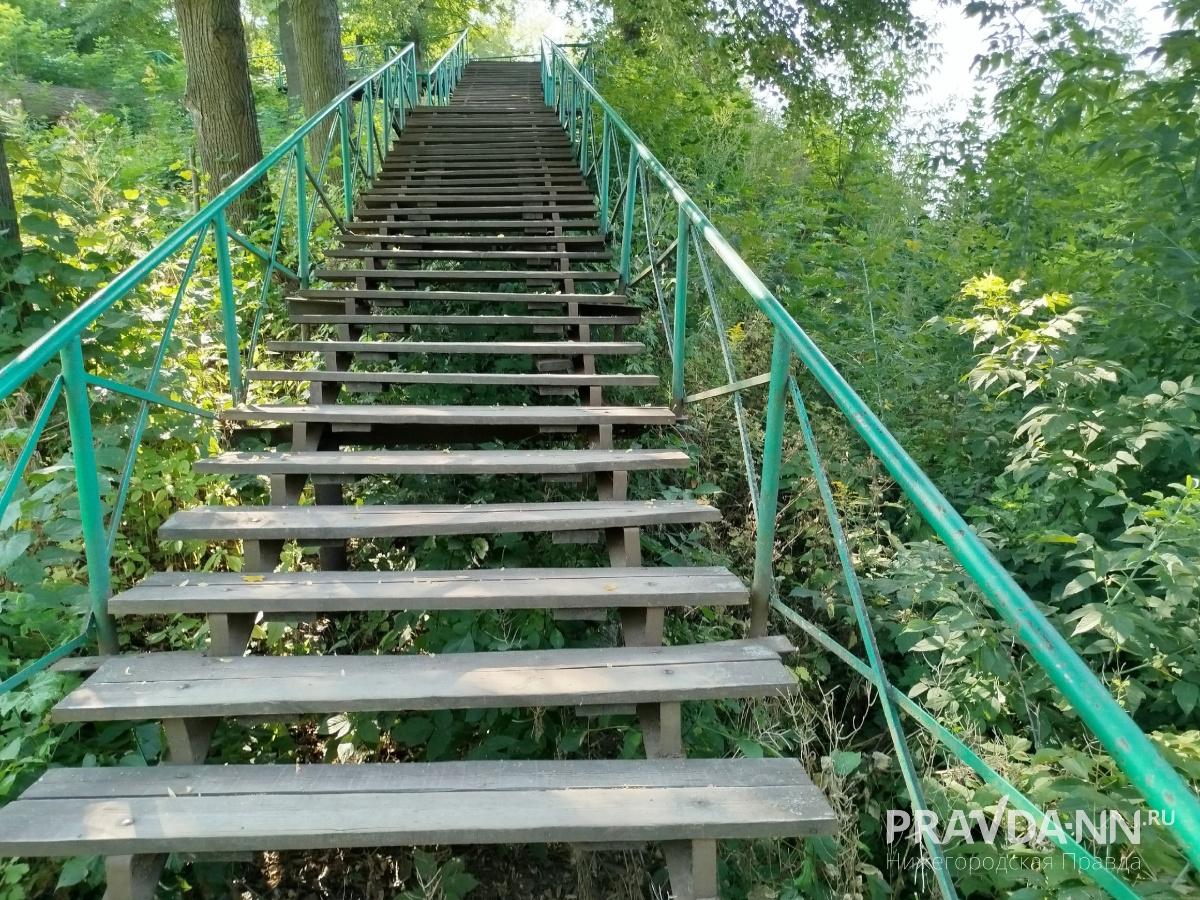 предоставлено читателем