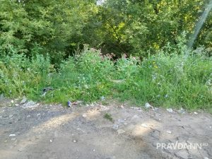 предоставлено читателем